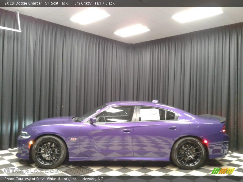 Plum Crazy Pearl / Black 2019 Dodge Charger R/T Scat Pack