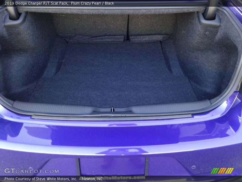 Plum Crazy Pearl / Black 2019 Dodge Charger R/T Scat Pack
