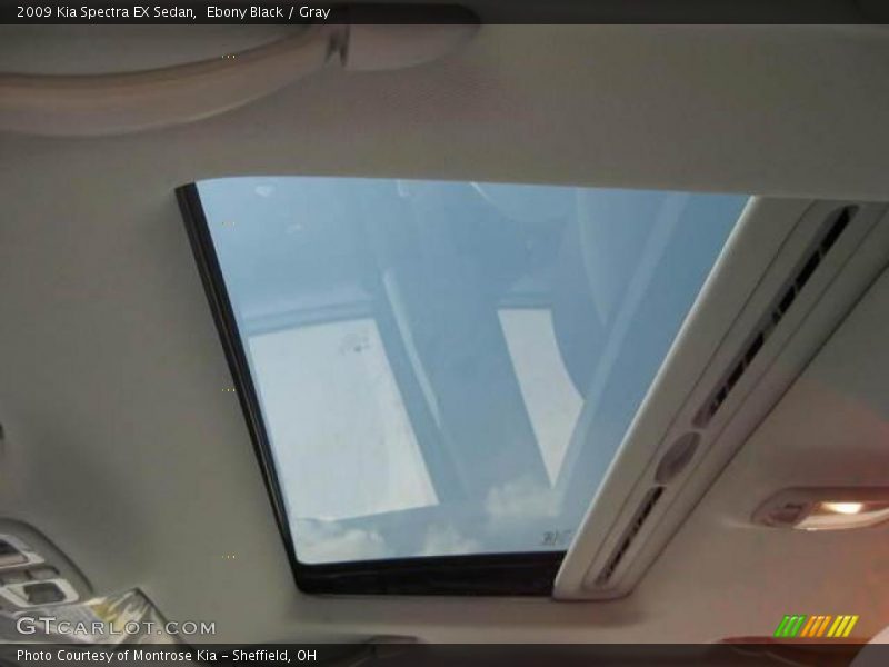 Ebony Black / Gray 2009 Kia Spectra EX Sedan