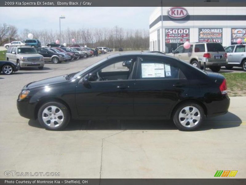Ebony Black / Gray 2009 Kia Spectra EX Sedan