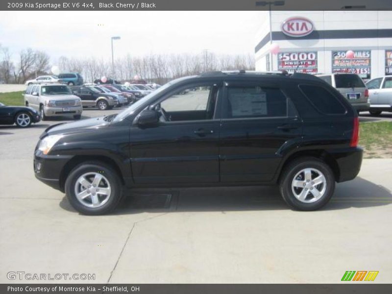 Black Cherry / Black 2009 Kia Sportage EX V6 4x4