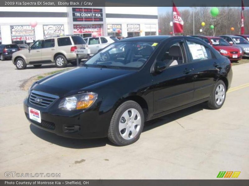 Ebony Black / Gray 2009 Kia Spectra EX Sedan