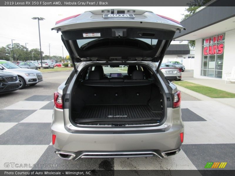 Nebula Gray Pearl / Black 2019 Lexus RX 350 F Sport AWD