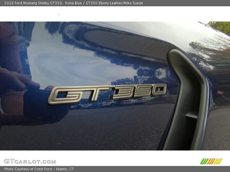  2019 Mustang Shelby GT350 Logo