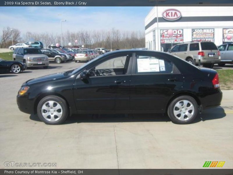 Ebony Black / Gray 2009 Kia Spectra EX Sedan