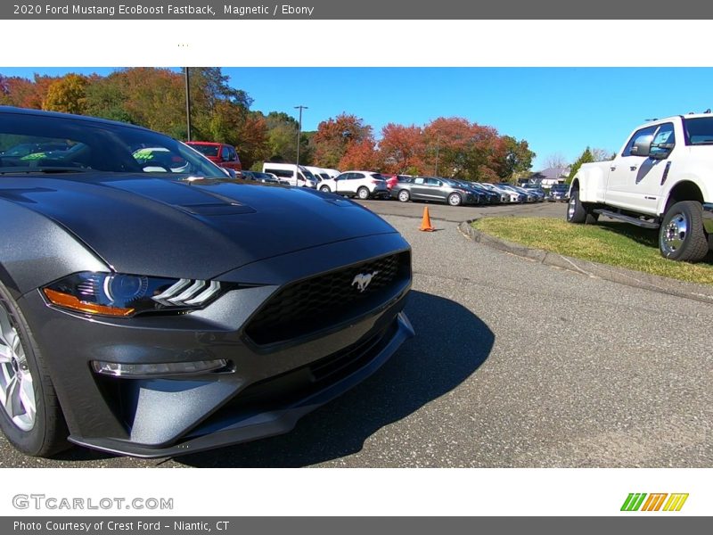 Magnetic / Ebony 2020 Ford Mustang EcoBoost Fastback