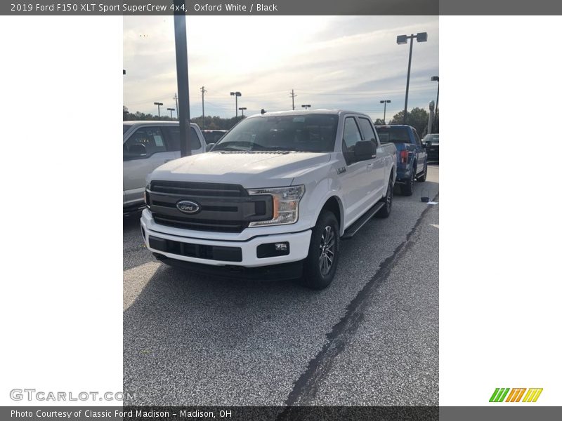 Oxford White / Black 2019 Ford F150 XLT Sport SuperCrew 4x4
