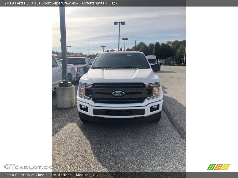 Oxford White / Black 2019 Ford F150 XLT Sport SuperCrew 4x4