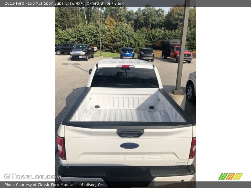 Oxford White / Black 2019 Ford F150 XLT Sport SuperCrew 4x4