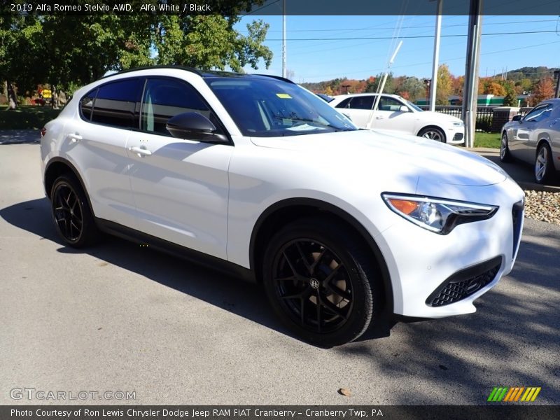Alfa White / Black 2019 Alfa Romeo Stelvio AWD