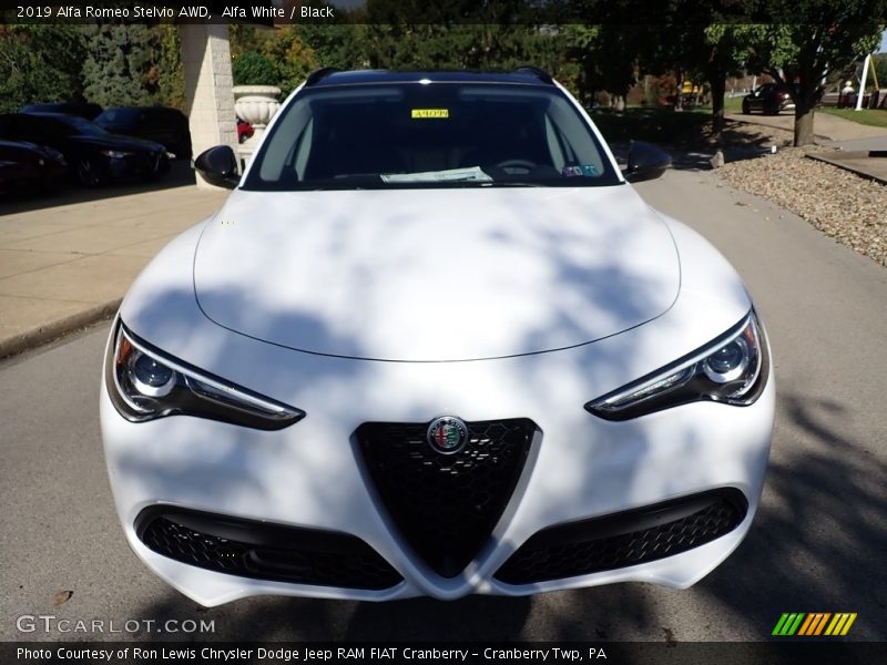 Alfa White / Black 2019 Alfa Romeo Stelvio AWD