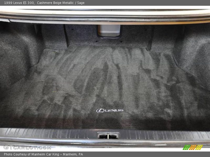 Cashmere Beige Metallic / Sage 1999 Lexus ES 300
