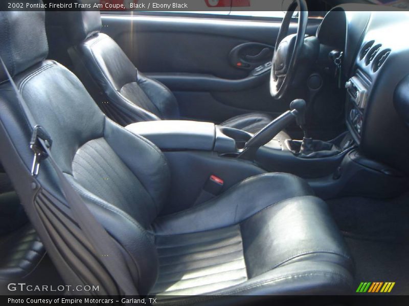 Black / Ebony Black 2002 Pontiac Firebird Trans Am Coupe