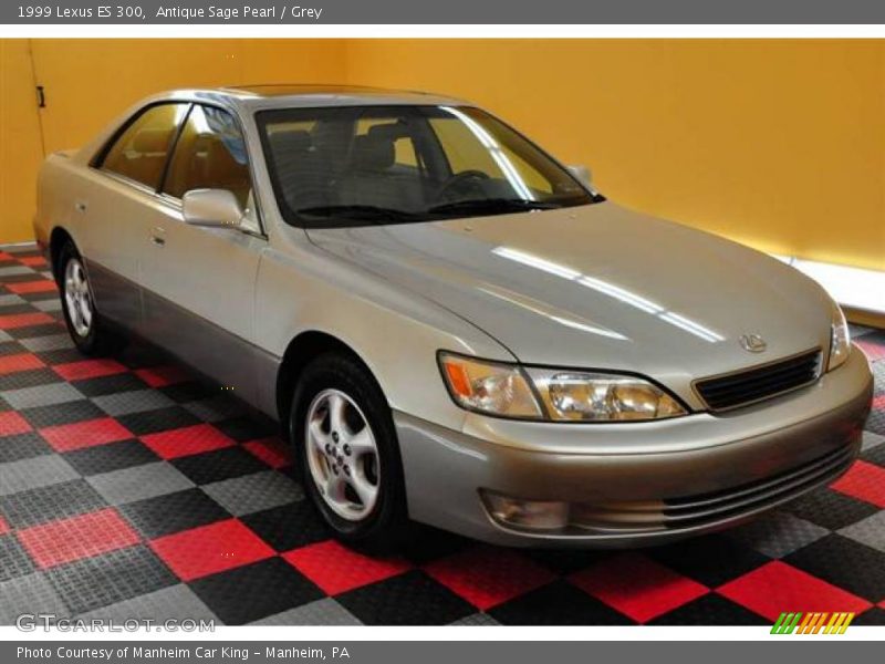 Antique Sage Pearl / Grey 1999 Lexus ES 300