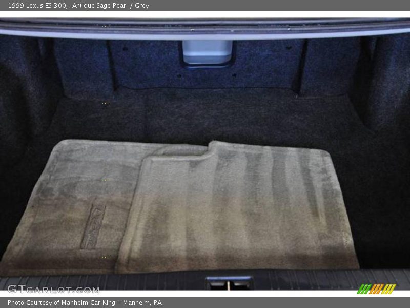 Antique Sage Pearl / Grey 1999 Lexus ES 300