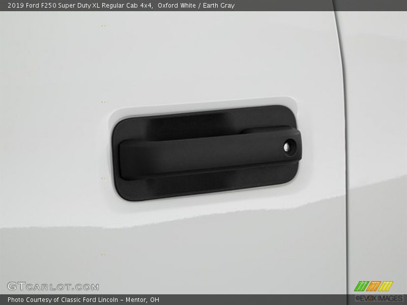 Oxford White / Earth Gray 2019 Ford F250 Super Duty XL Regular Cab 4x4