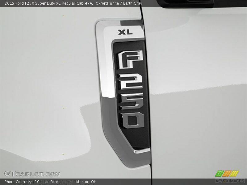 Oxford White / Earth Gray 2019 Ford F250 Super Duty XL Regular Cab 4x4