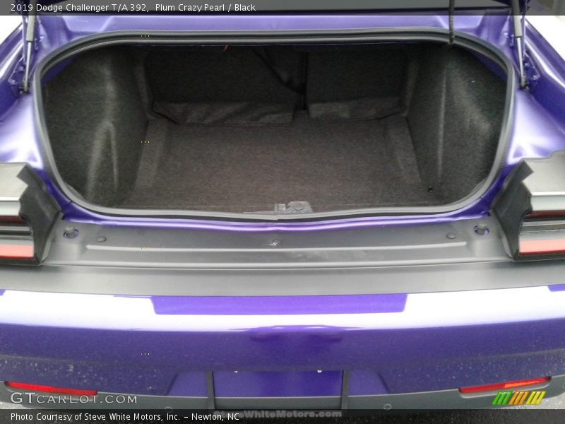 Plum Crazy Pearl / Black 2019 Dodge Challenger T/A 392