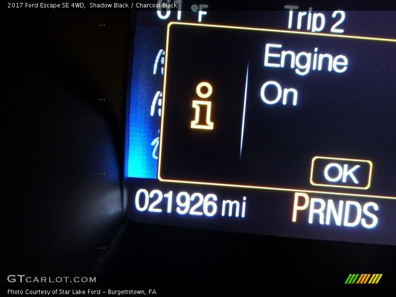 Shadow Black / Charcoal Black 2017 Ford Escape SE 4WD