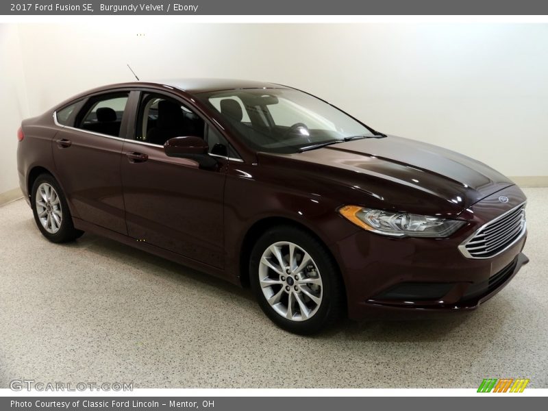 Burgundy Velvet / Ebony 2017 Ford Fusion SE