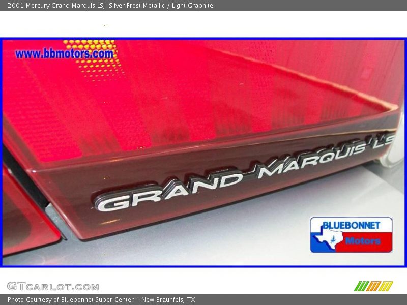 Silver Frost Metallic / Light Graphite 2001 Mercury Grand Marquis LS