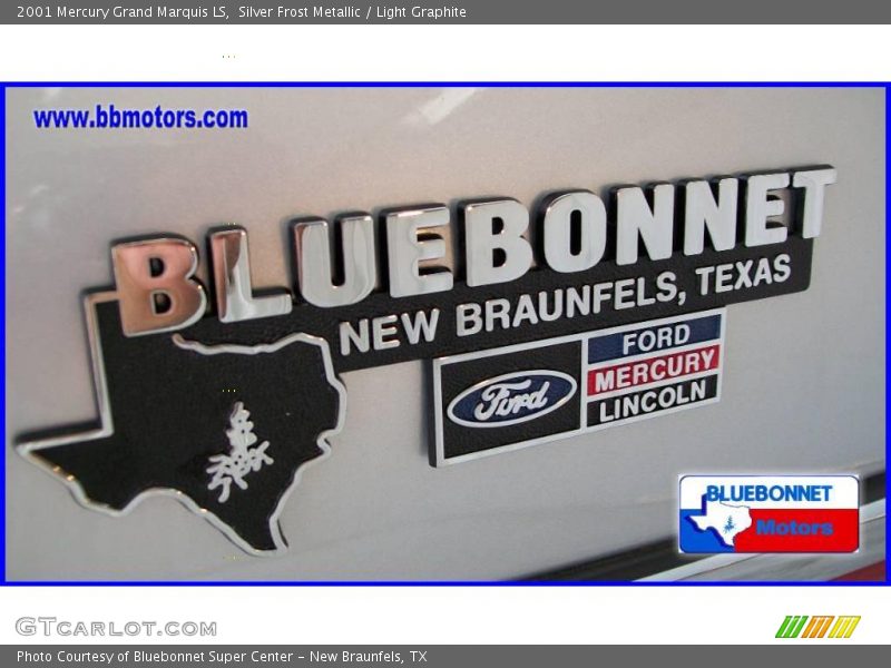 Silver Frost Metallic / Light Graphite 2001 Mercury Grand Marquis LS