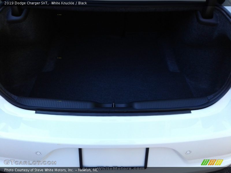 White Knuckle / Black 2019 Dodge Charger SXT