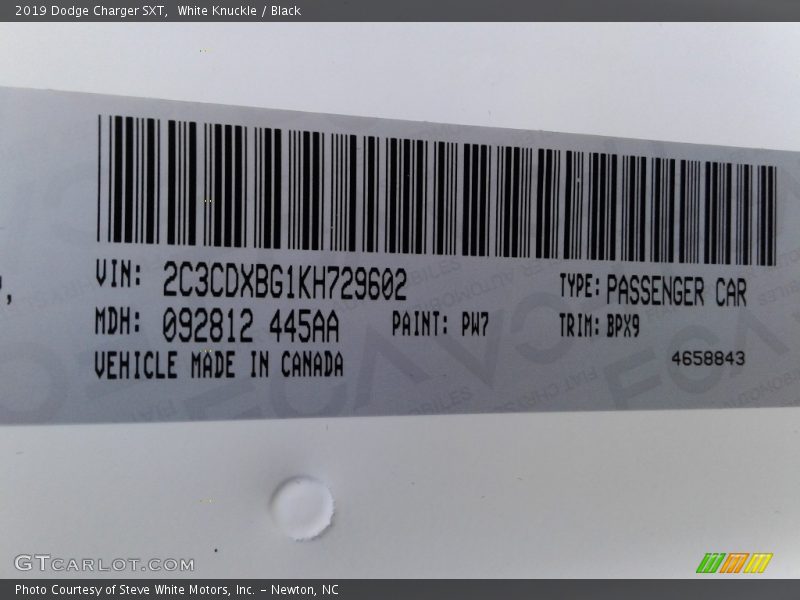 White Knuckle / Black 2019 Dodge Charger SXT