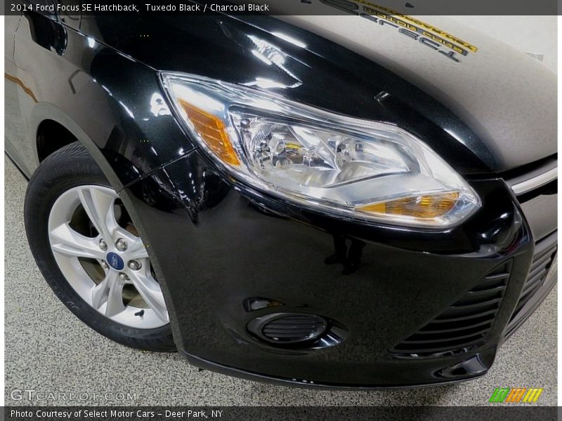 Tuxedo Black / Charcoal Black 2014 Ford Focus SE Hatchback