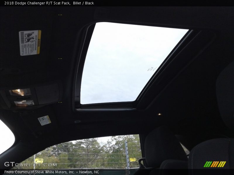 Billet / Black 2018 Dodge Challenger R/T Scat Pack