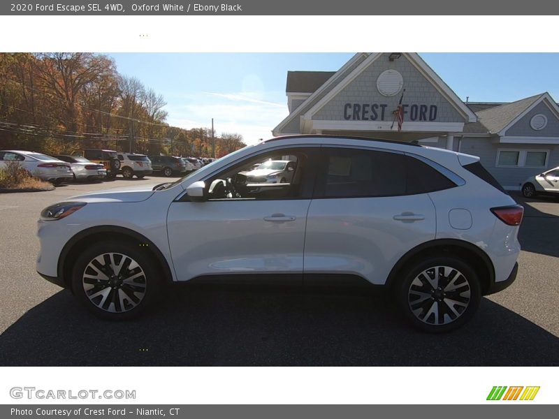 Oxford White / Ebony Black 2020 Ford Escape SEL 4WD