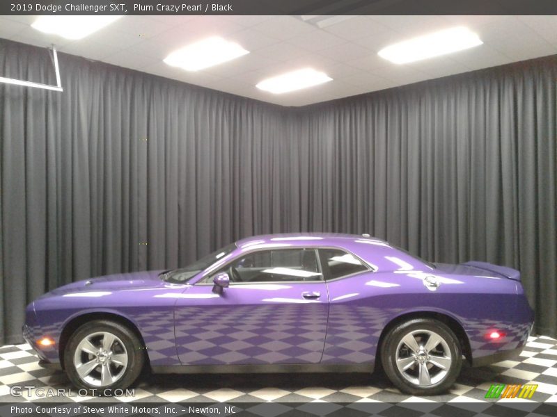 Plum Crazy Pearl / Black 2019 Dodge Challenger SXT