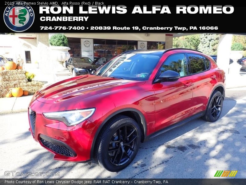 Alfa Rosso (Red) / Black 2019 Alfa Romeo Stelvio AWD