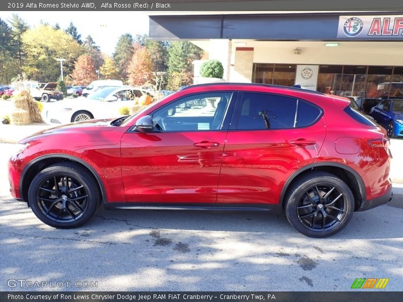 Alfa Rosso (Red) / Black 2019 Alfa Romeo Stelvio AWD