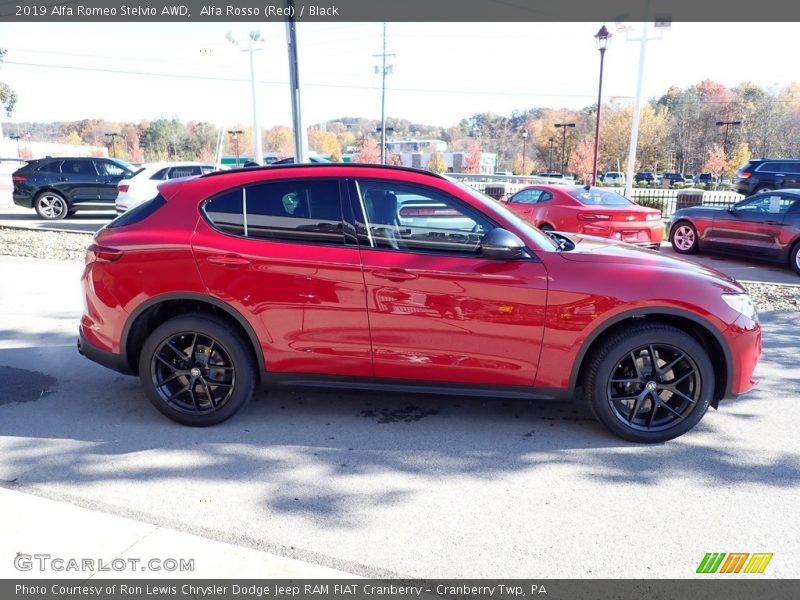 Alfa Rosso (Red) / Black 2019 Alfa Romeo Stelvio AWD