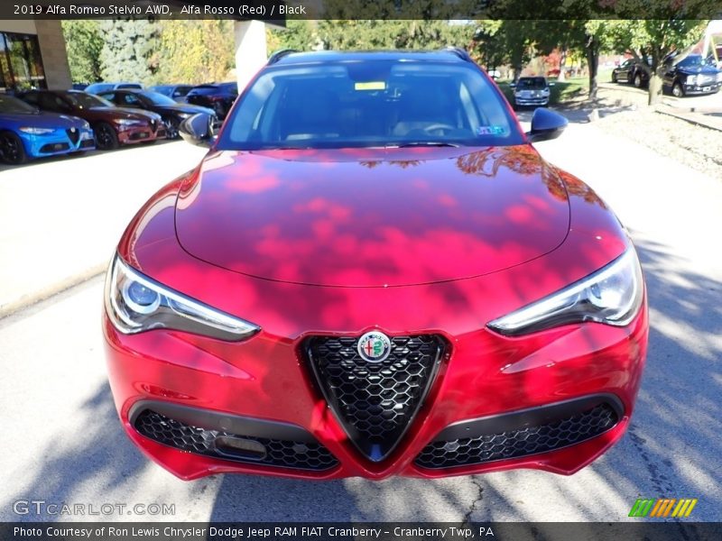 Alfa Rosso (Red) / Black 2019 Alfa Romeo Stelvio AWD