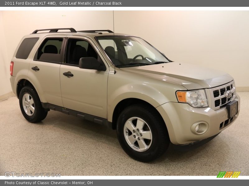 Gold Leaf Metallic / Charcoal Black 2011 Ford Escape XLT 4WD