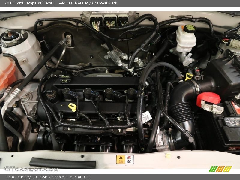 Gold Leaf Metallic / Charcoal Black 2011 Ford Escape XLT 4WD