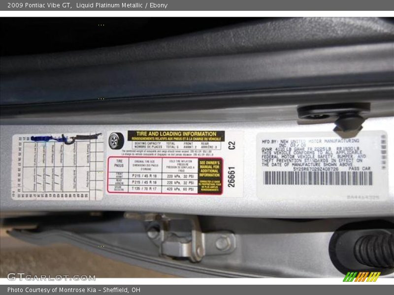 Liquid Platinum Metallic / Ebony 2009 Pontiac Vibe GT