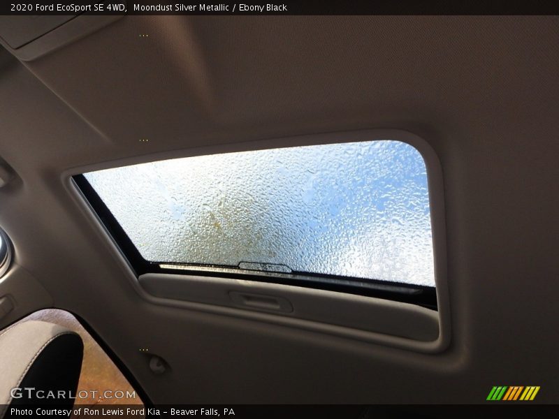 Moondust Silver Metallic / Ebony Black 2020 Ford EcoSport SE 4WD