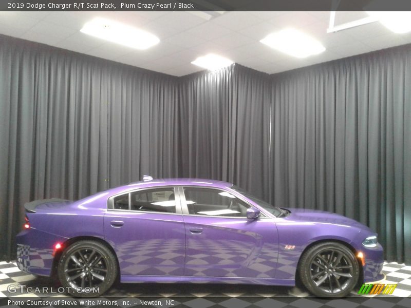 Plum Crazy Pearl / Black 2019 Dodge Charger R/T Scat Pack