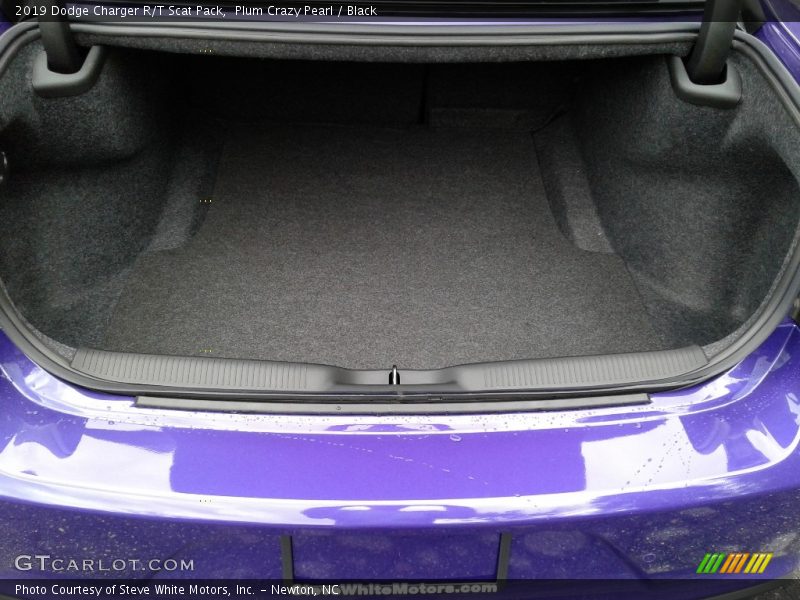 Plum Crazy Pearl / Black 2019 Dodge Charger R/T Scat Pack