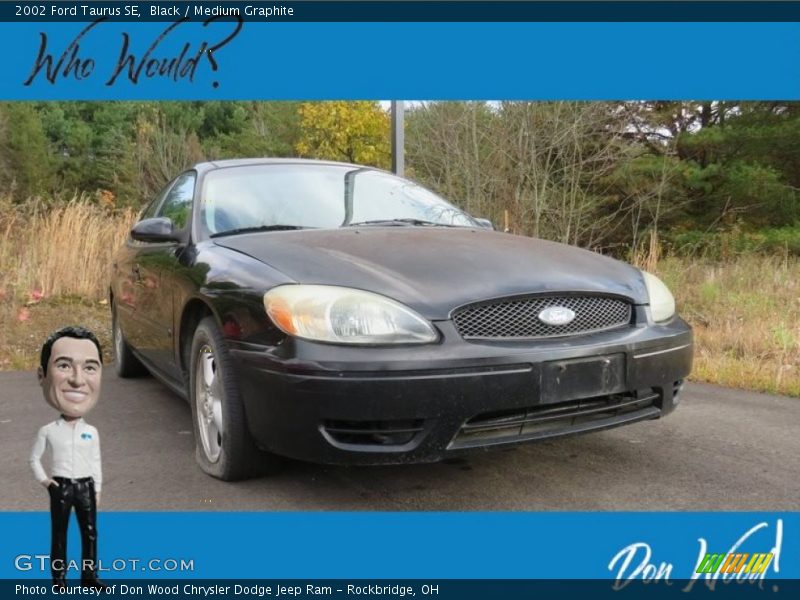 Black / Medium Graphite 2002 Ford Taurus SE