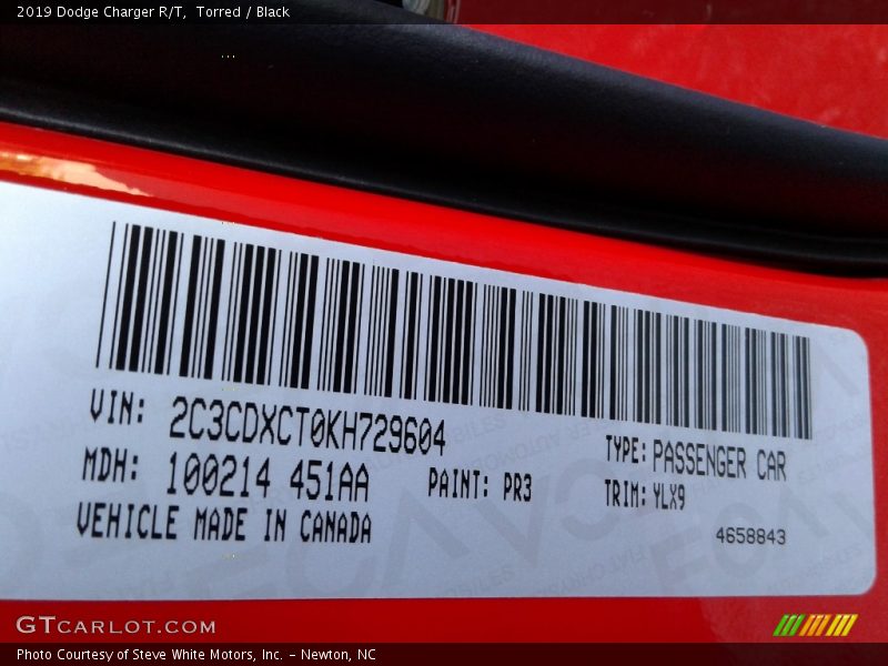 Torred / Black 2019 Dodge Charger R/T