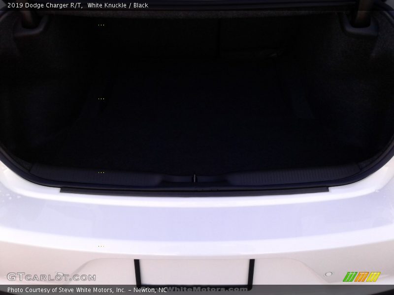 White Knuckle / Black 2019 Dodge Charger R/T