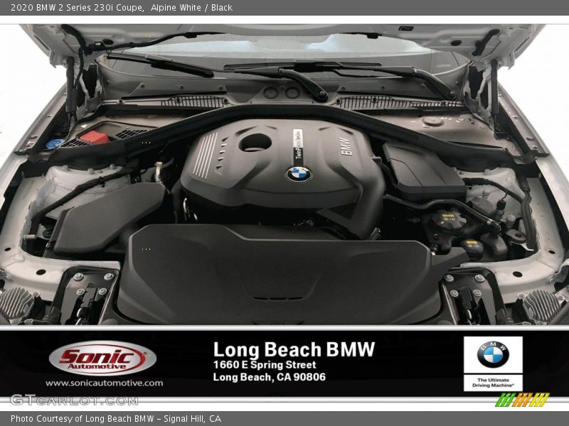Alpine White / Black 2020 BMW 2 Series 230i Coupe