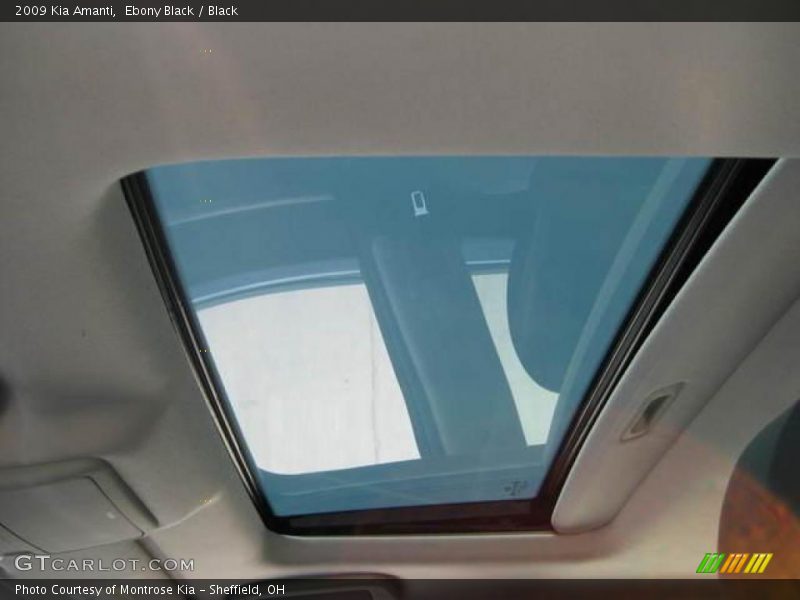 Ebony Black / Black 2009 Kia Amanti