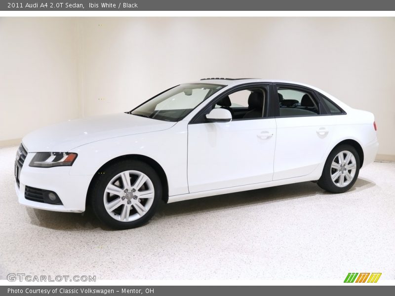 Ibis White / Black 2011 Audi A4 2.0T Sedan