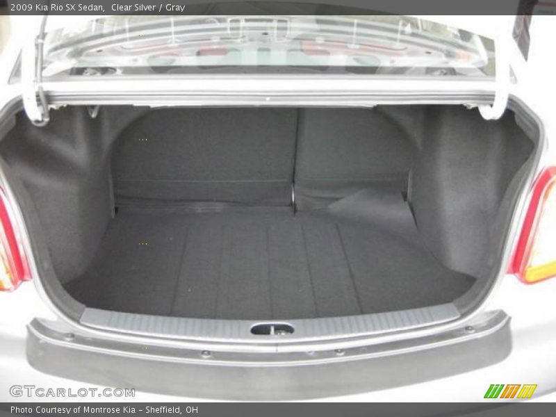 Clear Silver / Gray 2009 Kia Rio SX Sedan