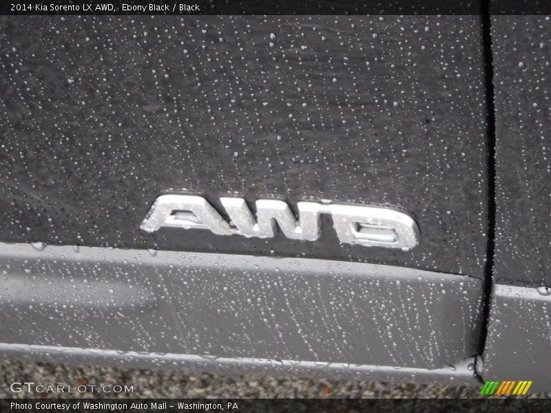 Ebony Black / Black 2014 Kia Sorento LX AWD